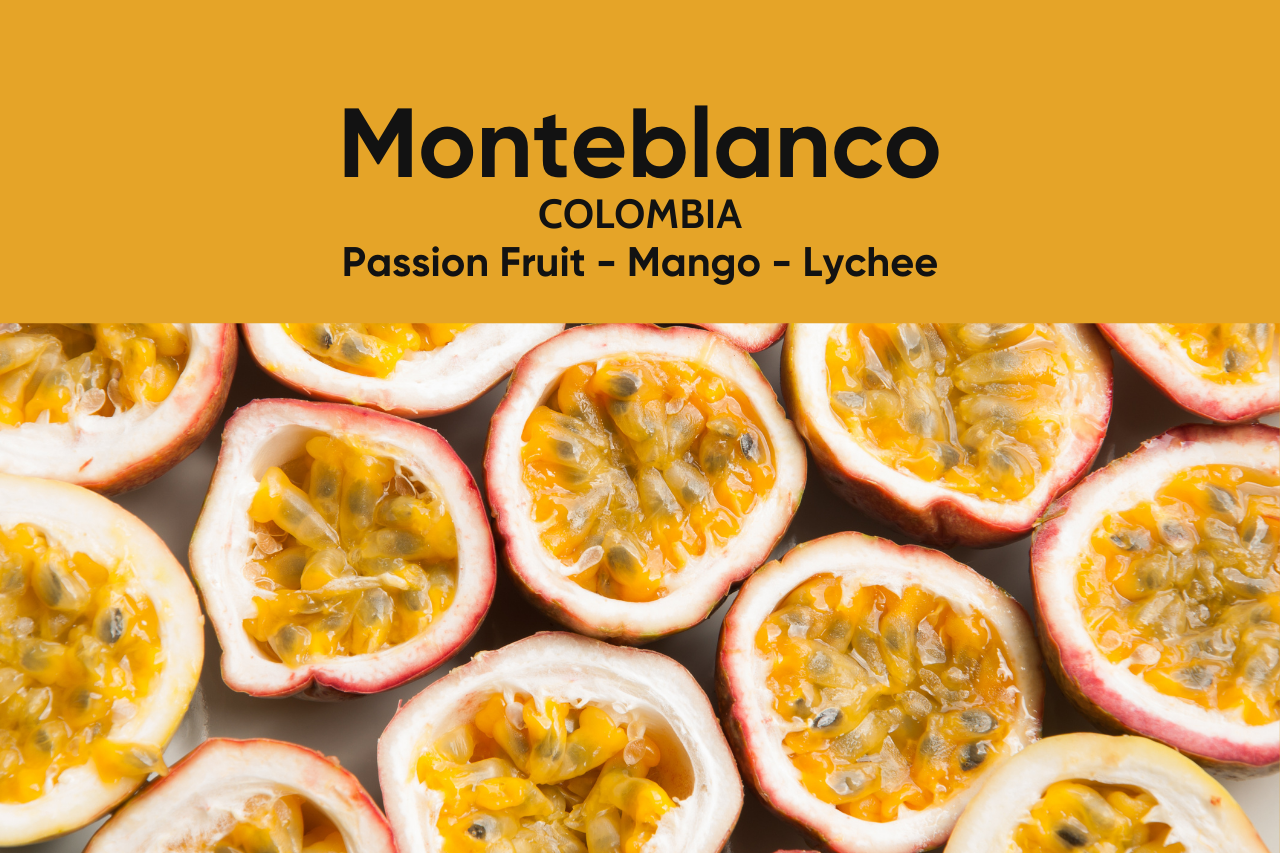 Best Coffee In Kuwait Coffee Beans Wholesaler Espresso Machines